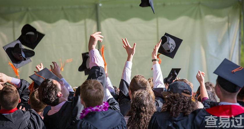 查易过,查易过官方,查易过免费论文查重,查易过论文检测